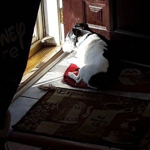 Meet your Posher, Barb